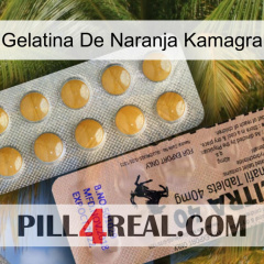 Kamagra Orange Jelly 41